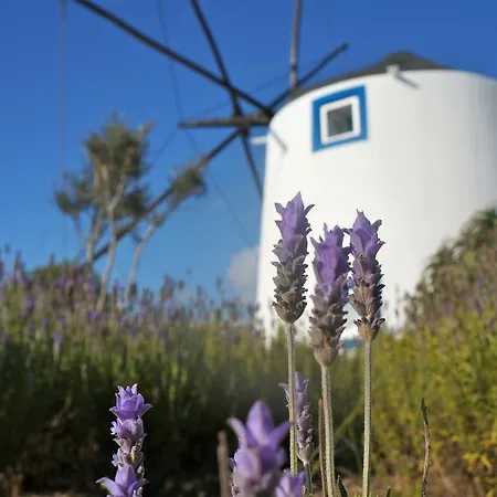 Holiday home O Remoinho *
