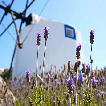 O Remoinho Holiday home *